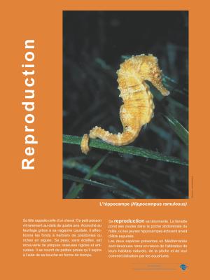 Escales littorales_resize.jpg